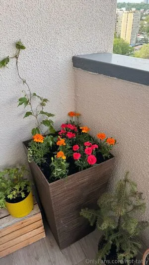 Hot Tatty OnlyFans Leaked Free Thumbnail Picture - #QwJajWq4ik