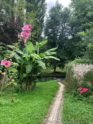 Hotclownjess OnlyFans Leaked Free Thumbnail Picture - #2JT38shSUC