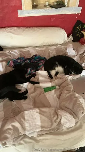 Hotclownjess OnlyFans Leaked Free Thumbnail Picture - #48jBLY2G4G