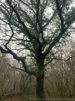 Hotclownjess OnlyFans Leaked Free Thumbnail Picture - #RxscBQvMxI