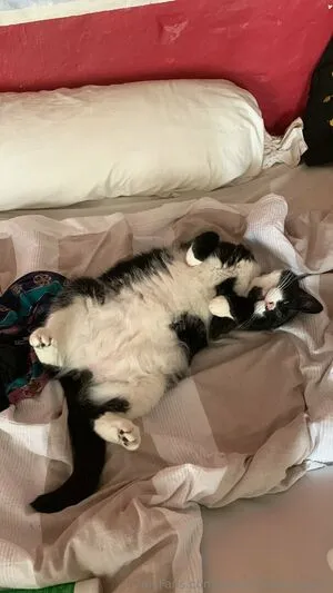 Hotclownjess OnlyFans Leaked Free Thumbnail Picture - #uZ0xnCJVFc