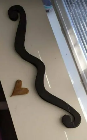 Hotgluedesign OnlyFans Leaked Free Thumbnail Picture - #pdR5ZUa8qP