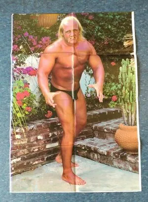 Hulk Hogan OnlyFans Leaked Free Thumbnail Picture - #Ylpx5qwStq