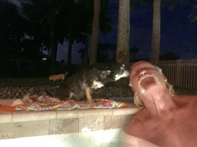 Hulk Hogan OnlyFans Leaked Free Thumbnail Picture - #jNdKUq5AqR