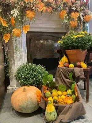 I Alice OnlyFans Leaked Free Thumbnail Picture - #He47zWu0Xw