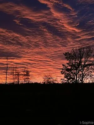 I Sophie OnlyFans Leaked Free Thumbnail Picture - #4AEIDKmITO