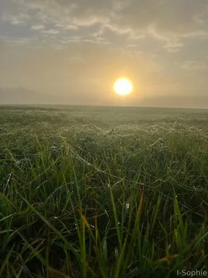 I Sophie OnlyFans Leaked Free Thumbnail Picture - #Aw5EuGQoMu