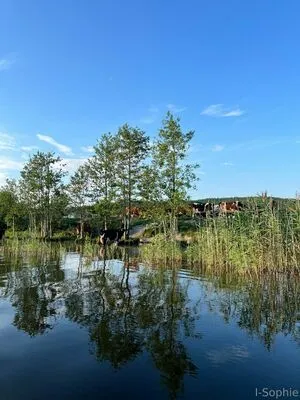 I Sophie OnlyFans Leaked Free Thumbnail Picture - #SZrHtLqhs8