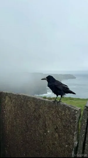 I Sophie OnlyFans Leaked Free Thumbnail Picture - #T0YnKRIdzd