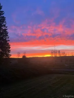 I Sophie OnlyFans Leaked Free Thumbnail Picture - #dJLf745hXN