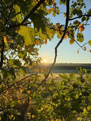 I Sophie OnlyFans Leaked Free Thumbnail Picture - #gINw1YfRp1