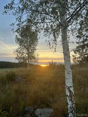 I Sophie OnlyFans Leaked Free Thumbnail Picture - #hfQKZsaSXu