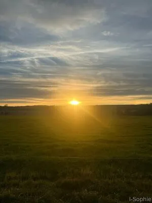 I Sophie OnlyFans Leaked Free Thumbnail Picture - #ke7o42aR4m