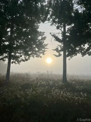 I Sophie OnlyFans Leaked Free Thumbnail Picture - #mvp5u5gX5o