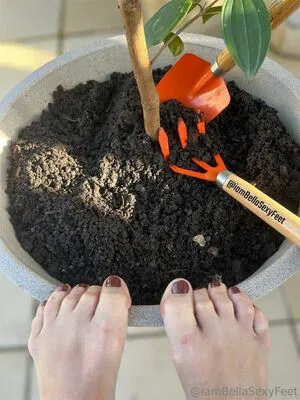 Iambellasexyfeet OnlyFans Leaked Free Thumbnail Picture - #8kXWZcavNq