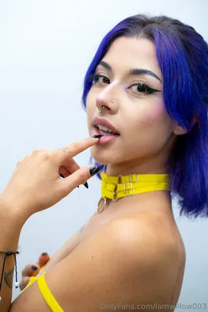 Iamwillow003 OnlyFans Leaked Free Thumbnail Picture - #mVCBXmGBu3