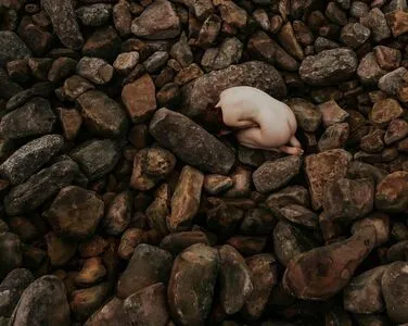 Icelandic Selkie OnlyFans Leaked Free Thumbnail Picture - #JJ7KwTmzZF