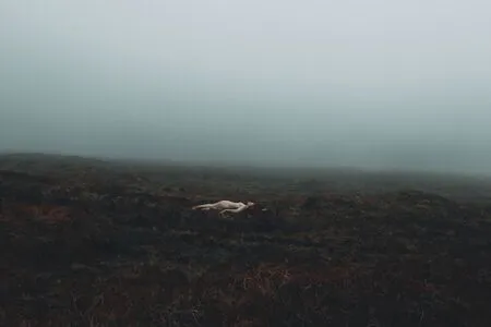 Icelandic Selkie OnlyFans Leaked Free Thumbnail Picture - #R8STV8K8CI