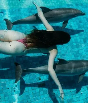 Ikkimel OnlyFans Leaked Free Thumbnail Picture - #qp1lqTS4qh