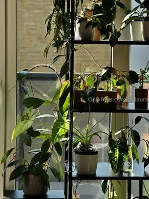 Ily Laura OnlyFans Leaked Free Thumbnail Picture - #ChWONcS8m2