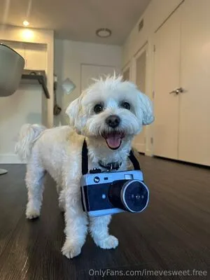 Imevesweet Free OnlyFans Leaked Free Thumbnail Picture - #2fXwormI25