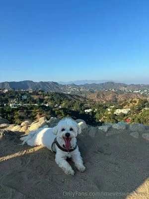 Imevesweet Free OnlyFans Leaked Free Thumbnail Picture - #scHOmoevIM