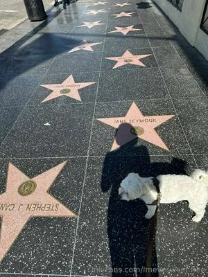 Imevesweet Free OnlyFans Leaked Free Thumbnail Picture - #zw7d3cFuc2