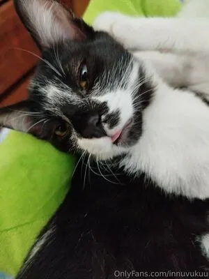 Innuvukuu OnlyFans Leaked Free Thumbnail Picture - #ASECBpNcQC