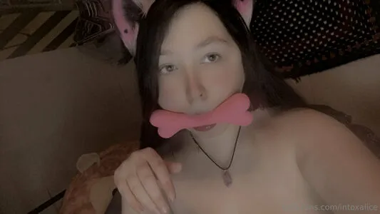 Intoxalice OnlyFans Leaked Free Thumbnail Picture - #gh7PVFy001