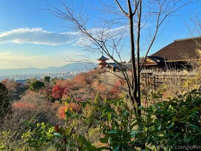 Iorin OnlyFans Leaked Free Thumbnail Picture - #Js7edVW4cC