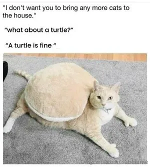 Isabelame OnlyFans Leaked Free Thumbnail Picture - #X80N8EdnOa