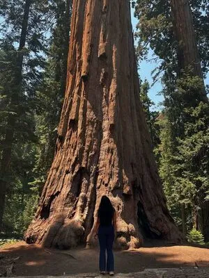 Its Sri OnlyFans Leaked Free Thumbnail Picture - #gkgMOeHKcs