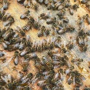 Itsjustmexoxo OnlyFans Leaked Free Thumbnail Picture - #OEOpdu4lAo