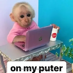 Itsm3wtw0 OnlyFans Leaked Free Thumbnail Picture - #tP7QddE6SF