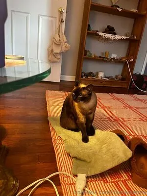 Itsonlykarma OnlyFans Leaked Free Thumbnail Picture - #0Z7BPMP64V