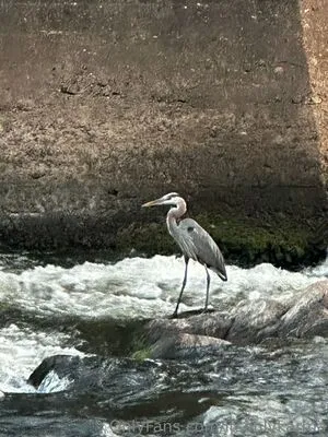 Itsonlykarma OnlyFans Leaked Free Thumbnail Picture - #YiD3LYbdo6