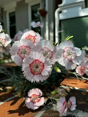 Itsonlykarma OnlyFans Leaked Free Thumbnail Picture - #heBb2lkBj5