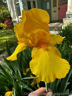 Itsonlykarma OnlyFans Leaked Free Thumbnail Picture - #ty7incryDN