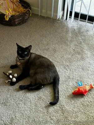 Itsonlykarma OnlyFans Leaked Free Thumbnail Picture - #uQ6wUAjglp