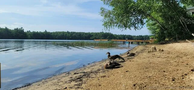 Jacksonlomax OnlyFans Leaked Free Thumbnail Picture - #0aRTJcQHih