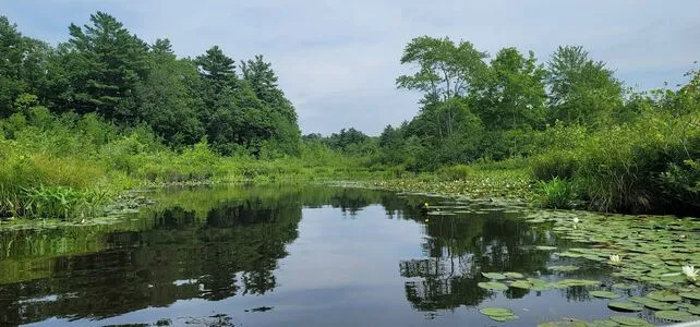 Jacksonlomax OnlyFans Leaked Free Thumbnail Picture - #eoQiTcG0at