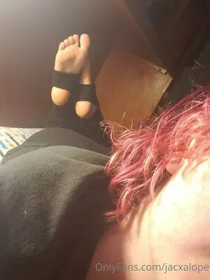 Jacxalope OnlyFans Leaked Free Thumbnail Picture - #ojPA3e9ZtF