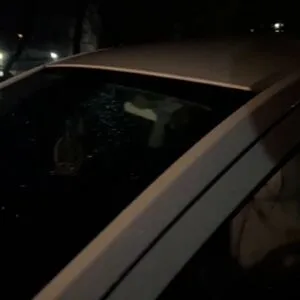 Jade Bond OnlyFans Leaked Free Thumbnail Picture - #Uofww7Qlam