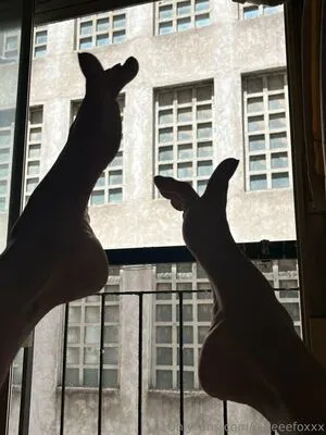 Jadeeefoxxx OnlyFans Leaked Free Thumbnail Picture - #j8VdhXGl56