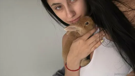 Jadepeachess OnlyFans Leaked Free Thumbnail Picture - #msh7WgRsKC