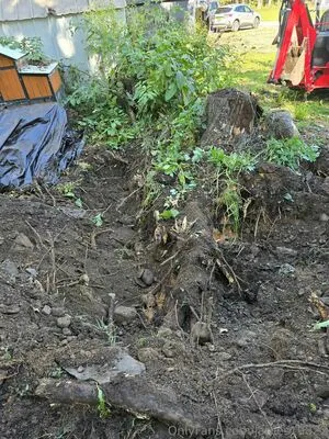 James19822 OnlyFans Leaked Free Thumbnail Picture - #8sv3D6Unzc