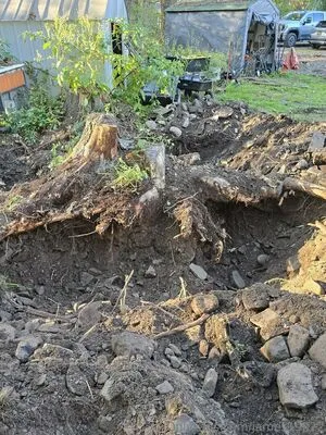 James19822 OnlyFans Leaked Free Thumbnail Picture - #CwAANw6WaD