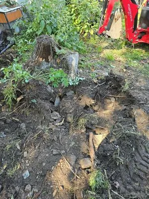 James19822 OnlyFans Leaked Free Thumbnail Picture - #ror3kzKV52