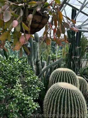 Janabubu Free OnlyFans Leaked Free Thumbnail Picture - #lDFkwR5fx8