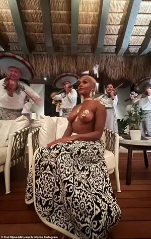 Janelle Monae OnlyFans Leaked Free Thumbnail Picture - #0O3oDyfciG